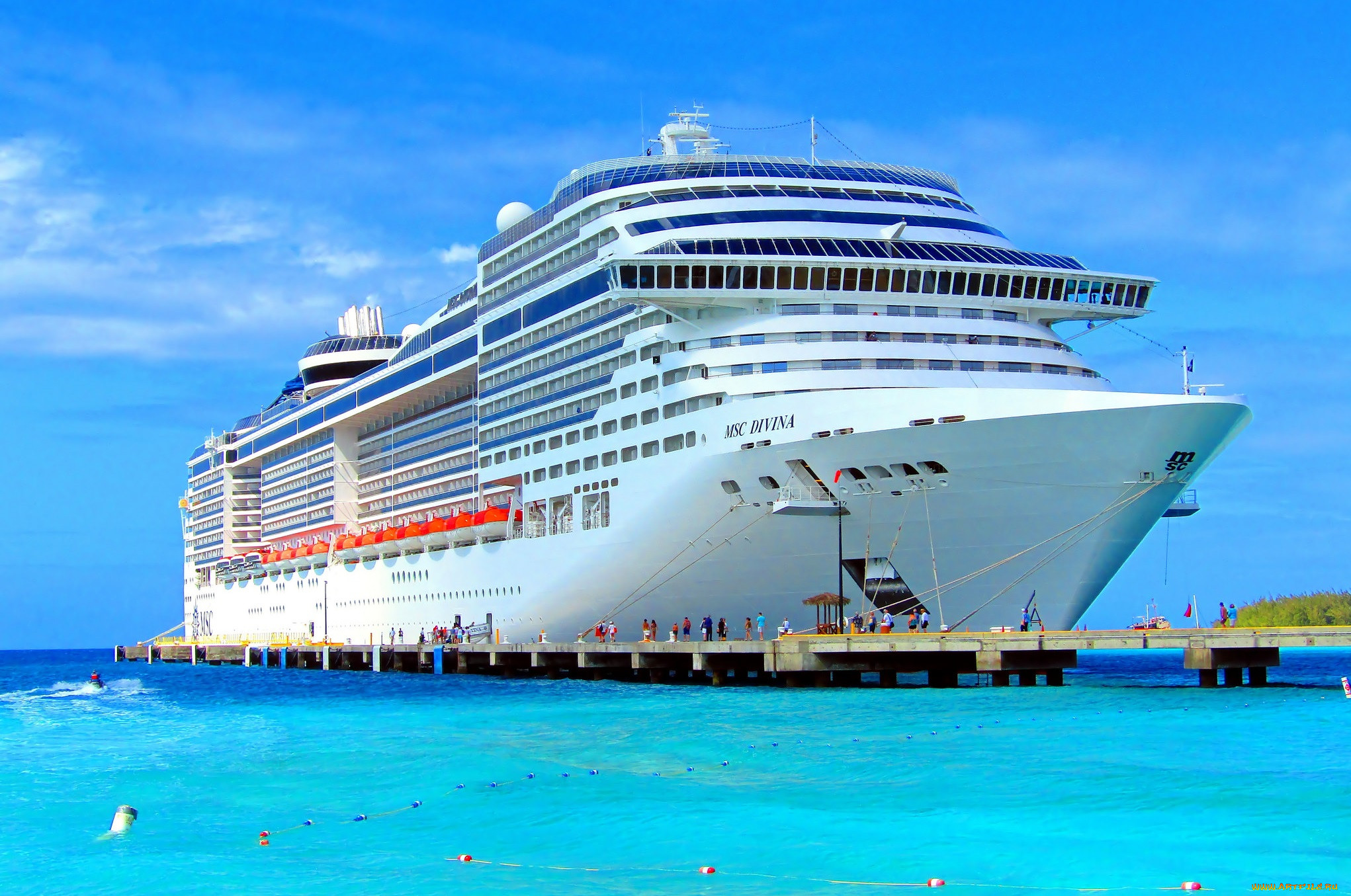 msc divina, , , , 